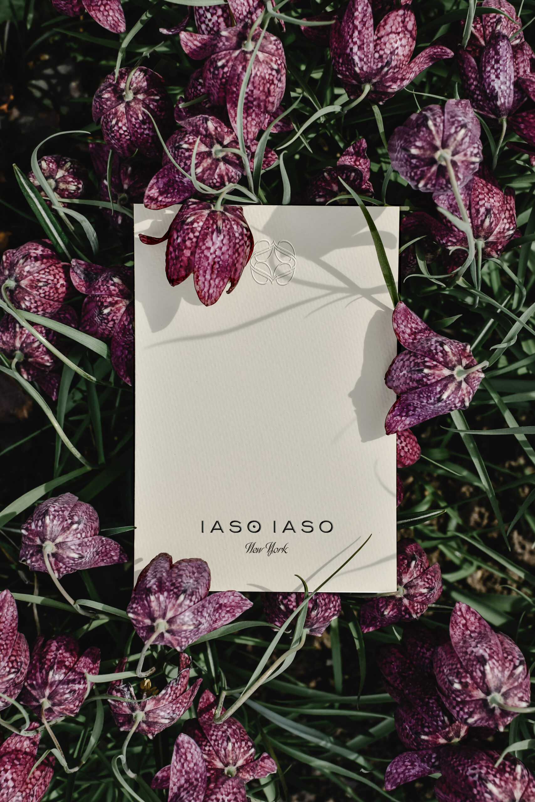 Iaso-Iaso-Note-Card-flowers